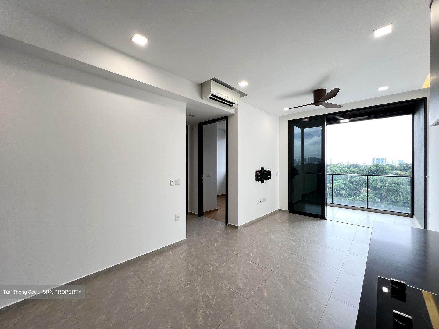 Park Colonial (D13), Condominium #556147631
